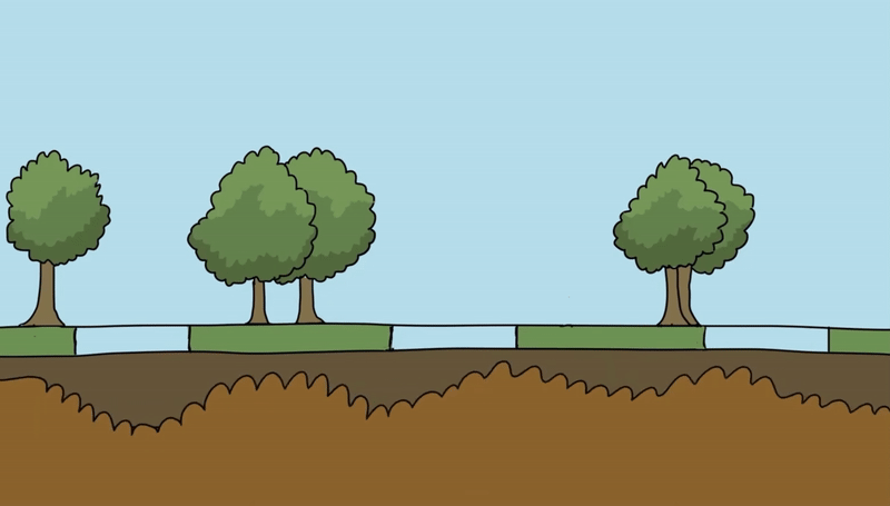 Trees flood strategy animation