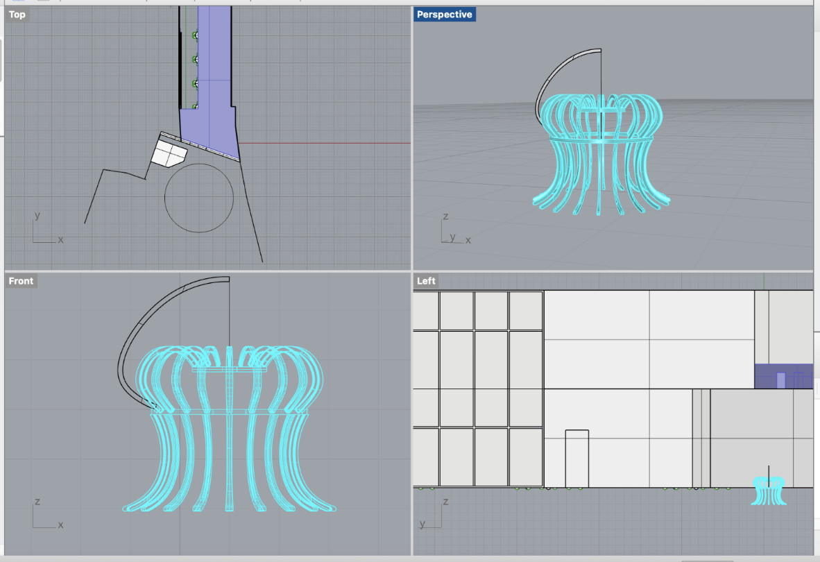 Rhino modeling viewport